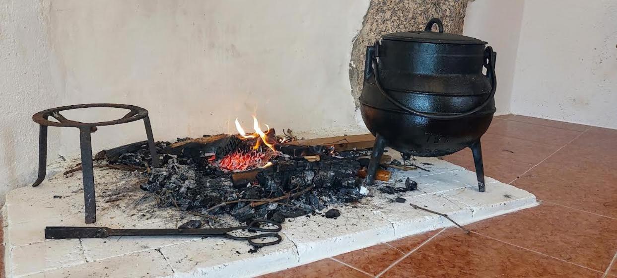 A Casa Da Rapariga De Cabelo Azul *