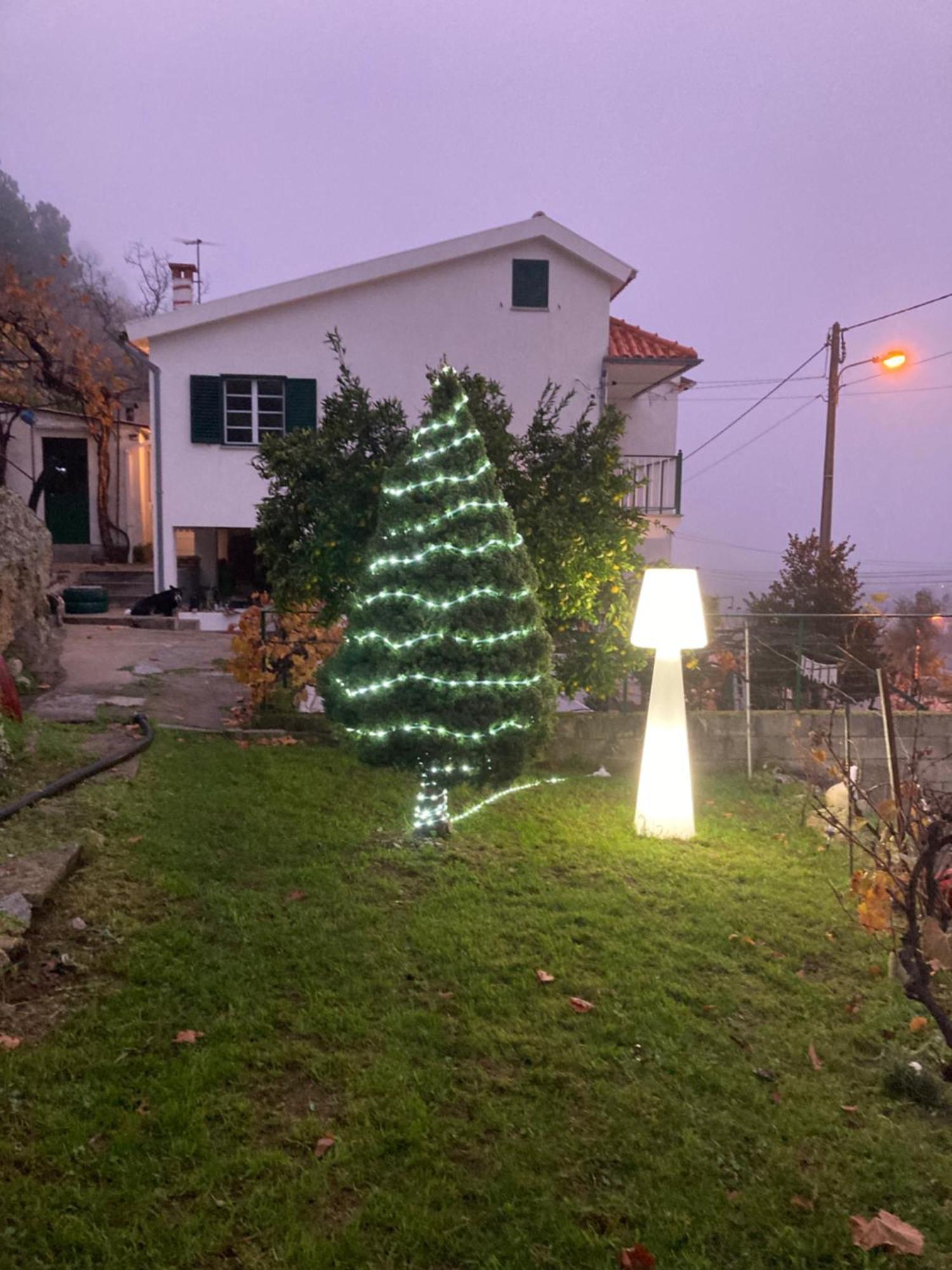 A Casa Da Rapariga De Cabelo Azul *
